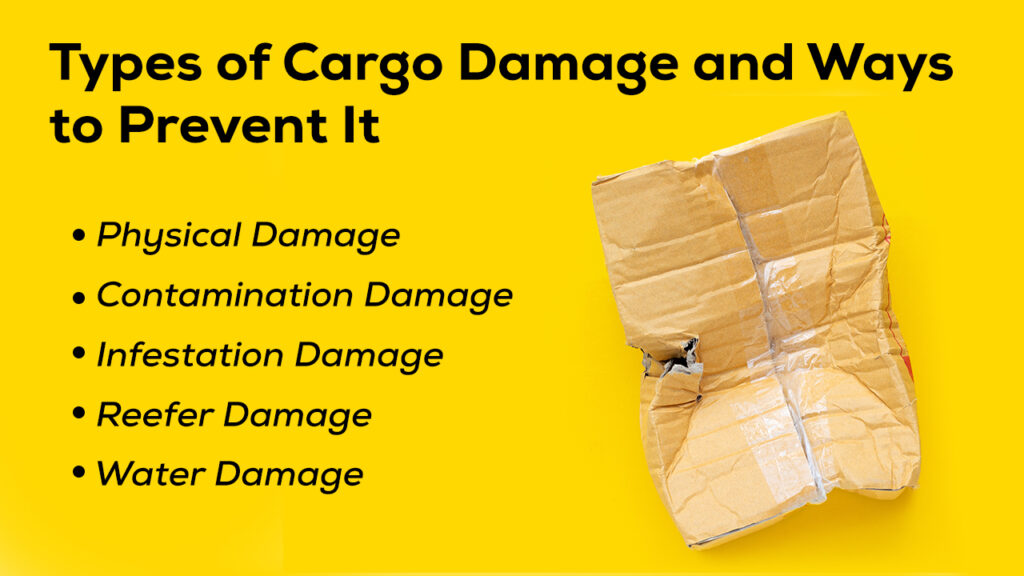 Types of Cargo Damage and Ways to Prevent It